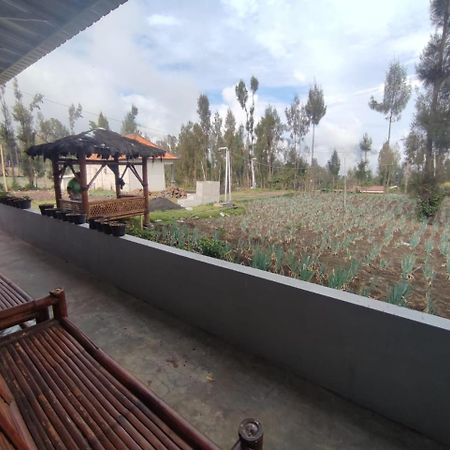 Elen Homestay By Abm Bromo Zewnętrze zdjęcie