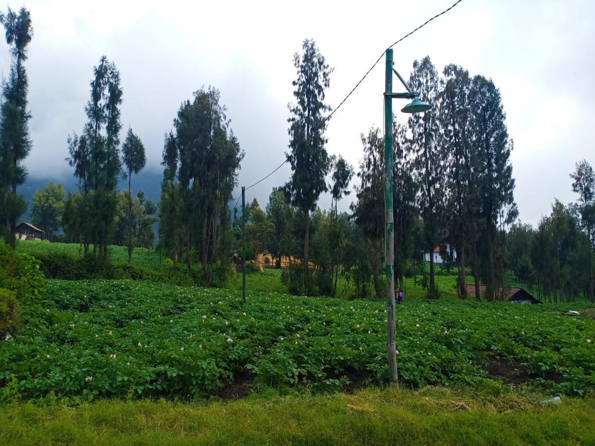 Elen Homestay By Abm Bromo Zewnętrze zdjęcie