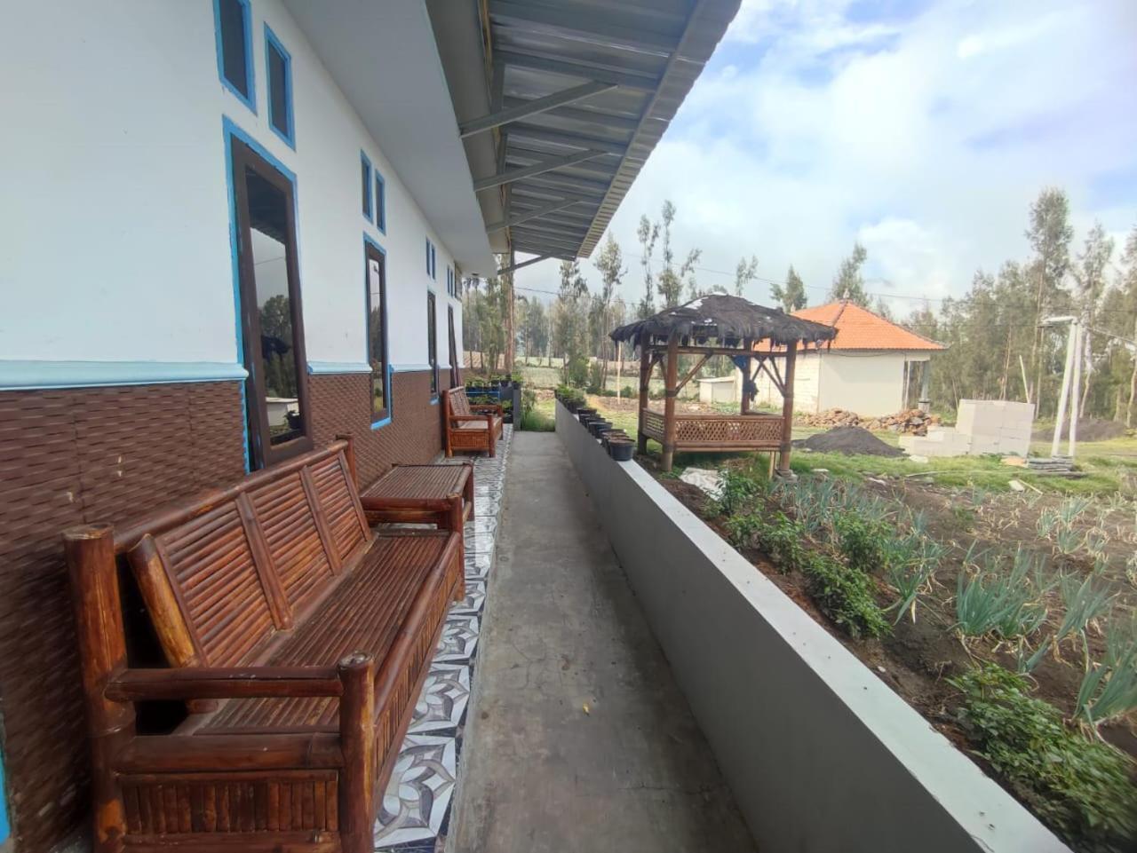 Elen Homestay By Abm Bromo Zewnętrze zdjęcie