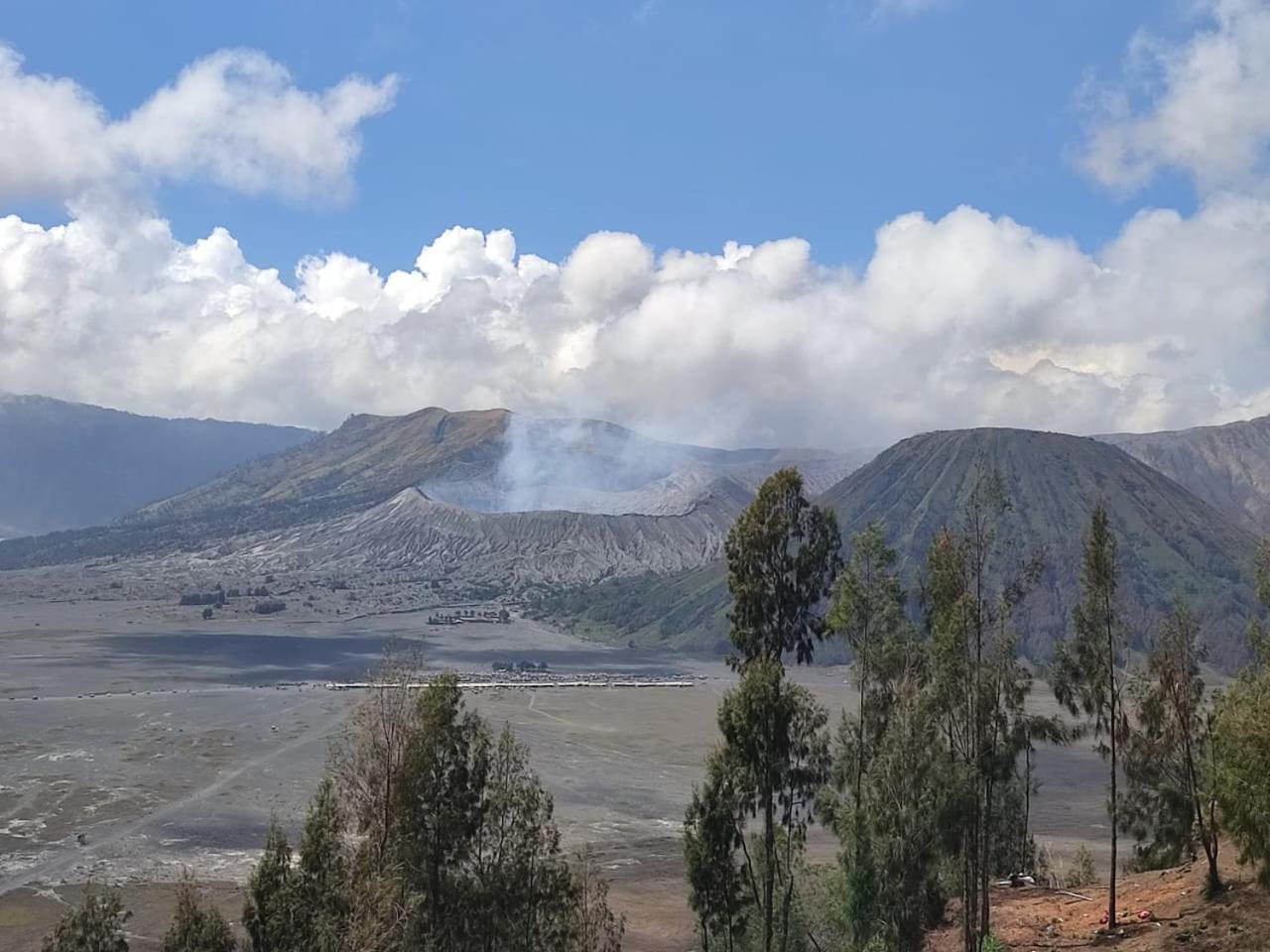 Elen Homestay By Abm Bromo Zewnętrze zdjęcie